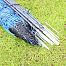 Blue net STANDARD for electric fence against wolves, height 120 cm, 50 m, double spike