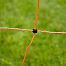 Orange net STANDARD for electric fence for sheep, goats, height 90 cm, 50 m, double spike