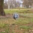 Fence wire and rope tensioner - round